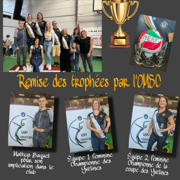 Planche-contact de la remise des trophées par l'USM95 : équipe championne dans ses catégories, trophée et ballons de volley.